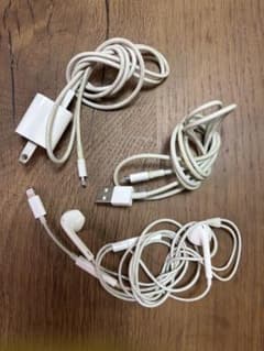 Apple Lightningケーブル 電源アダプタ イヤホン セットのサムネイル