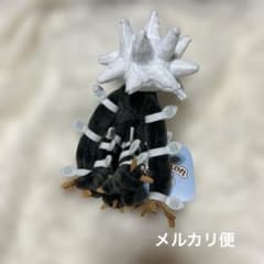 ポケモンfit デンジュモク ぬいぐるみ - メルカリ