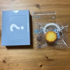 SloMood スロームードパイナップル まんまリアルminiスクイーズチーズ感のサムネイル