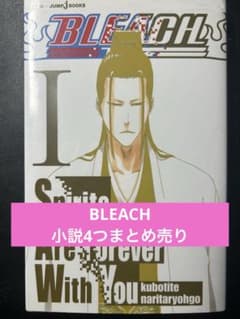 ブリーチ小説まとめ売りのサムネイル