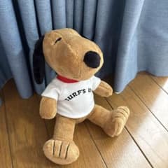 m*s様 ハワイ限定 PEANUTS 日焼け スヌーピー ぬいぐるみ moni ハワイ moni 日焼けスヌーピーぬいぐるみレア希少です - メルカリ