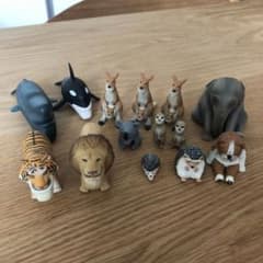 シャクレルプラネットのサムネイル
