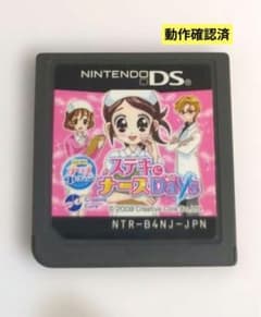ステキにナースDays ニンテンドーDS ソフト【動作確認済】のサムネイル