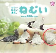 ねむいねむいまだ、ねむい　ペルシャのサムネイル