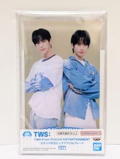 TWS　スタンド付きビッグアクリルプレート　アクスタ　『ドフン＆ギョンミン』