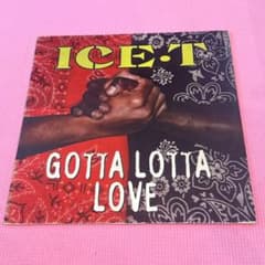 ICE-T Gotta Lotta Love レコード ヒップホップ 1992年