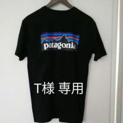 パタゴニア Tシャツのサムネイル