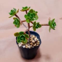 m84787582401_1.jpg?1699104973