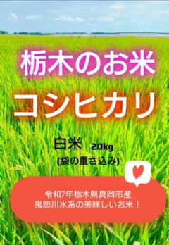 メルカリ市限定！栃木のお米・コシヒカリ♡白米15 栃木のお米・コシヒカリ♡白米 - メルカリ
