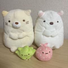 스미코구라시 시로쿠마, 고양이, 후로시키, 잡초