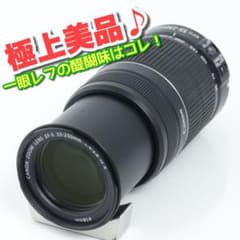 199☆EF-S55-250IS Ⅱ☆Canonキヤノン☆望遠ズームレンズ - メルカリ