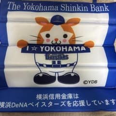 横浜DeNAベイスターズ 折りたたみクッション 横浜信用金庫のサムネイル