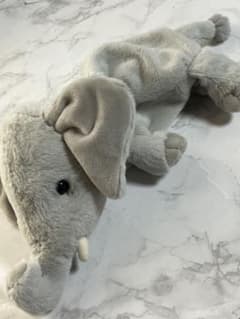 ⭐︎美品⭐︎ぬいぐるみ ペンケース ゾウ 筆箱のサムネイル