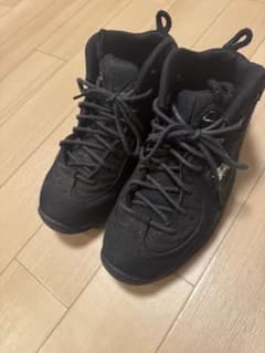 ナイキエア ペニーII SP Nike Air Penny 2 Stussyのサムネイル