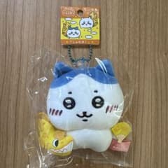 치이카와 당지키링 하치와레 나고야 [샤치호코]