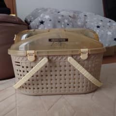 ベージュのキャリーケース