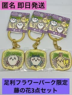 入手困難]藤の花 ちいかわご当地キーホルダー 3個セット - メルカリ