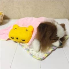 羊毛フェルト♡まりぃ様確認用♡のサムネイル