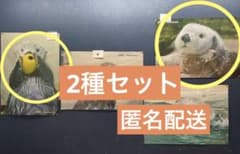 鳥羽水族館 キラメイ お誕生日 バースデーグッズ ポスター 2種セット