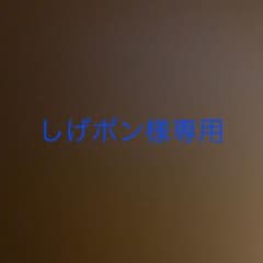 ルイヴィトン　タイガ　リポーターのサムネイル