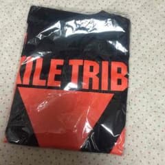 【値下げ中】EXILETRIBE Tシャツのサムネイル