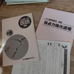早稲田アカデミー 小6夏期講習会 国語 得点力強化道場 夏期講習 2025