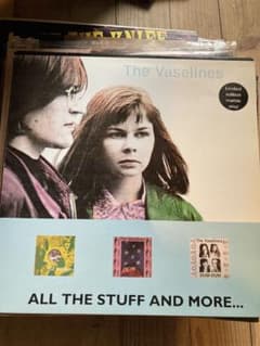 Vaselines - Marble vinyl Nirvana ヴァセリンズ - メルカリ