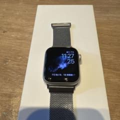 Apple Watch シルバー メッシュバンド 本体のサムネイル