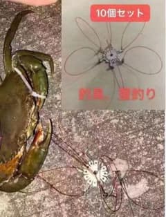 初心者OKカニ釣り仕掛け10個セット 針なし安全仕様 堤防・河川釣り両用カニ掛けのサムネイル