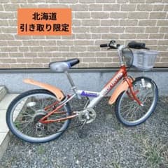 子供用自転車 オレンジ/シルバー 前カゴ付き　引き渡し限定　22インチ 子供用自転車 オレンジ/シルバー 前カゴ付き 引き渡し限定 22インチ