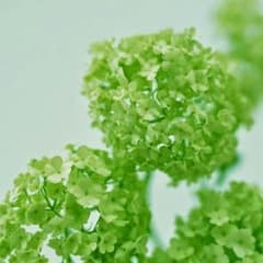 sophia様 専用のサムネイル