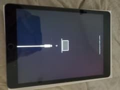 ぐでたま様専用のサムネイル