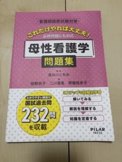母性看護学 問題集 看護師国家試験対策のサムネイル