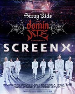Stray Kids dominATE experience 映画 ポスター - メルカリ