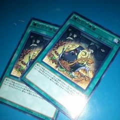 シャイニングビクトリーズ 儀式の下準備のサムネイル