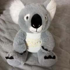 Taronga Zoo コアラ ぬいぐるみのサムネイル