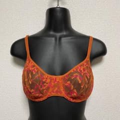 DKNY 34C ノーパッドレースシアーブラジャーのサムネイル