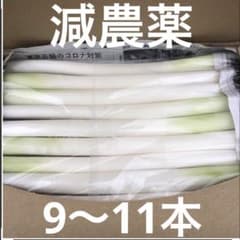 不揃いカットネギ　　　　　おいし〜いよ！ 　　A4サイズのサムネイル