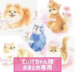 【てぃげちゃん様おまとめ専用です】のサムネイル