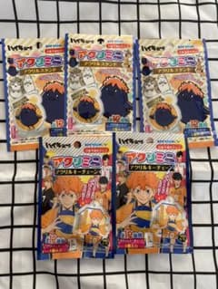 ハイキュー　アクリルミニスタンド＆キーチェーンのサムネイル