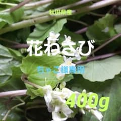 ちゃこ 花わさび 400g 採れたて ちゃこ様専用 花わさび 400g 採れたて - メルカリ