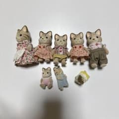 シルバニアファミリー 廃盤品 希少シマネコファミリーセットのサムネイル