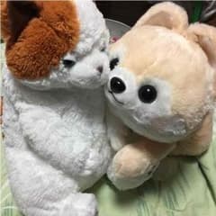 【お値下しました！】もふもふ♡ぬいぐるみセットのサムネイル