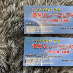 【値下げ不可】岐阜スノーエリア 共通リフト1日券 引換券 スノーランドぎふ　2枚のサムネイル