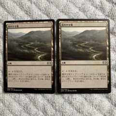 灰のやせ地　mtgのサムネイル