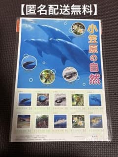 小笠原の自然のサムネイル