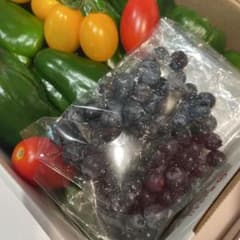 無農薬ブルーベリーのサムネイル