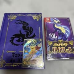 ポケットモンスター バイオレット　アートブック　カードのサムネイル