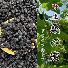 野生桑の実100g 乾燥 原料そのままマルベリー 桑の葉 桑の実
