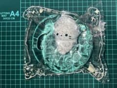 Momo　スクイーズ　海洋シリーズ　第一弾　アザラシのサムネイル